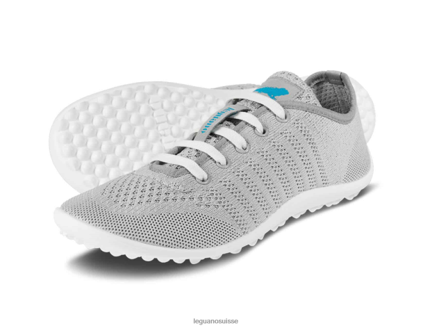 Allez grey Leguano Hommes chaussure 6D24JH9