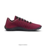 allez aux baies Leguano Hommes chaussure 6D24JH6 - Image 5